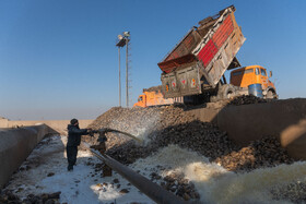 محل شستشو چغندر در کارخانه قند اصفهان