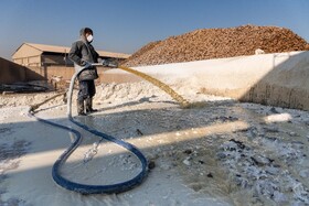 در این محل آهک و آب مخلوط شده و به جهت ضدعفونی به کانالی که چغندرها در آن شناور هستند وارد می‌شود.
