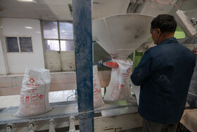 محل بسته‌بندی شکر در کارخانه قند اصفهان