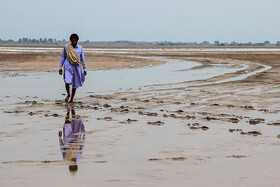 آبگیری تالاب جازموریان در پی بارندگی‌های اخیر