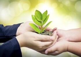 برگ بی‌برگی