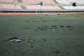 بنا به ادعای کارشناسان تعمیر چمن این ورزشگاه ، نیازمند به ۲۰ میلیارد تومان بودجه است و با توجه به جنس خاک منطقه تنها با چمن مصنوعی می توان از استفاده کرد .