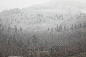 بارش برف زمستانی سوادکوه-مازندران