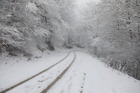 بارش برف زمستانی سوادکوه-مازندران