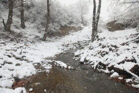 بارش برف زمستانی سوادکوه-مازندران