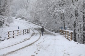 بارش برف زمستانی سوادکوه-مازندران