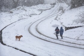 بارش برف زمستانی سوادکوه-مازندران