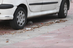 هجوم ریزگردها به آسمان یزد