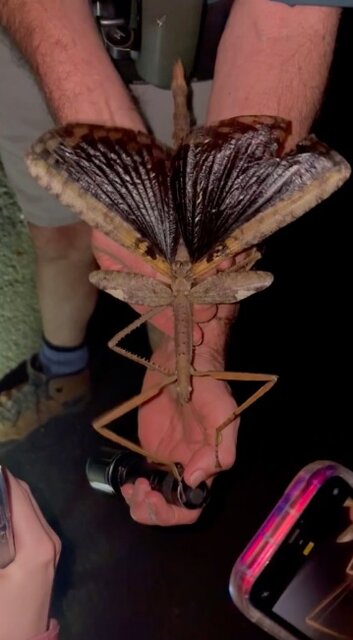 حیات وحش به روایت عکس