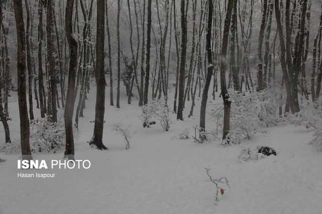 افزایش ۱۱ درصدی آمار بارش در کنار تداوم خشکسالی