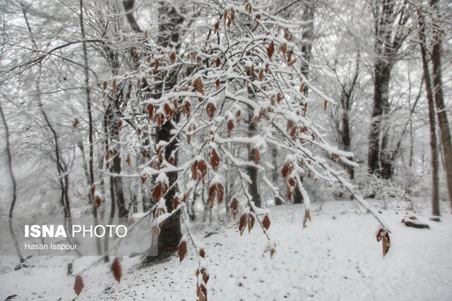 تداوم سرمای شدید و مه در آذربایجان‌شرقی