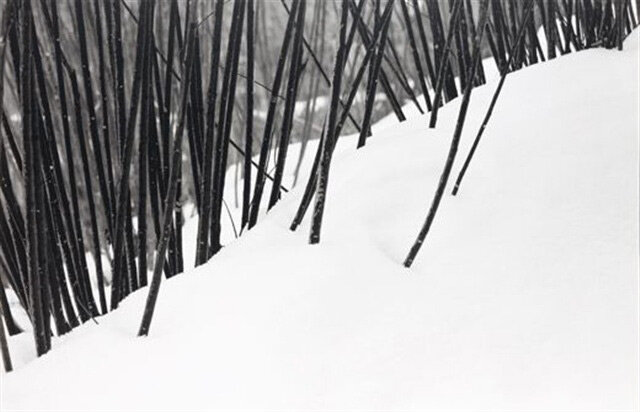 چرا عکسهای کیارستمی معروف شدند؟