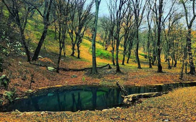 احراز شهادت محیط‌بانان پارک ملی گلستان