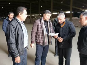 ذخایر کالاهای اساسی کرمانشاه مناسب است/ مردم مطابق روال عادی خرید کنند