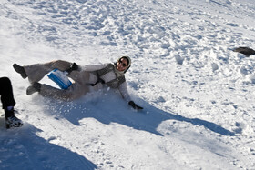 «سورتمه برفی » که جای تیوپ را گرفته و امنیت بیشتری دارد .