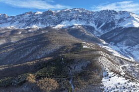 هیرکانی در آغوش زمستان