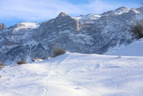 هیرکانی در آغوش زمستان