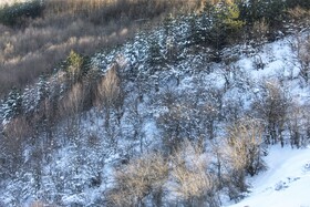 هیرکانی در آغوش زمستان