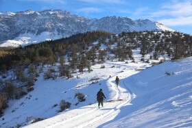 هیرکانی در آغوش زمستان