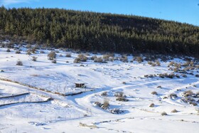 هیرکانی در آغوش زمستان