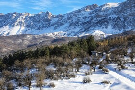 هیرکانی در آغوش زمستان