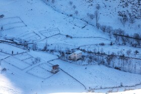 هیرکانی در آغوش زمستان