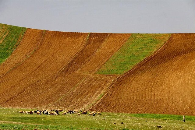 خاک، قربانی خاموش تبدیل مراتع به زمین‌های کشاورزی