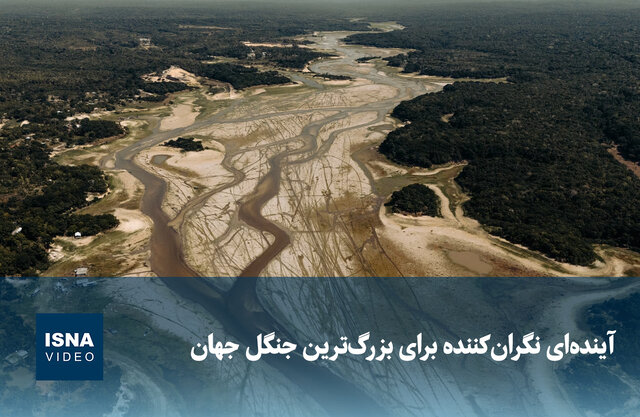 ویدیو/ آینده‌ای نگران‌کننده برای بزرگ‌ترین جنگل جهان