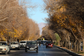 بیش از ۵۰ درصد از روزهای امسال در حوزه میبد و اردکان جزو روزهای ناسالم بوده که عدد بسیار خطرناکی است و از طرفی میزان ذرات معلق بسیار ریز در استان یزد، سه برابر استاندارد ملی و متاسفانه دارای روند افزایشی بوده است.