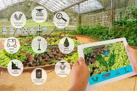 اینترنت اشیاء می‌تواند مسیر کشاورزی ایران را تغییر دهد