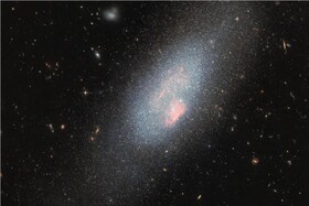 عکس روز ناسا از هم‌نشینی یک خرس با ستارگان بزرگ