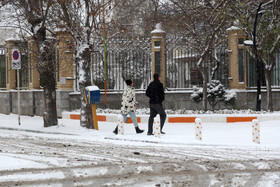 بارش باران و برف در اغلب مناطق کشور/ کاهش دما در پایان هفته