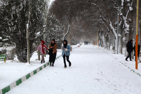 بارش اولین برف زمستانی در اردبیل