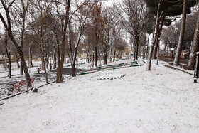 ورود سامانه بارشی به کشور طی امروز/ گسترش دامنه بارش تا آخر هفته