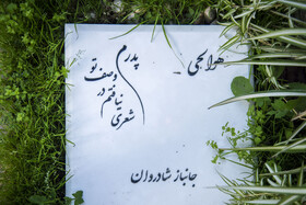 سنگ نوشته ها؛برای پدرانی که دیگر نیستند