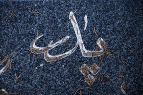 سنگ نوشته ها؛برای پدرانی که دیگر نیستند