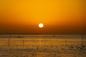 جشنواره فرهنگی– گردشگری «خواجه عطا» - بندرعباس