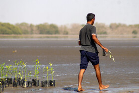 جشنواره فرهنگی– گردشگری «خواجه عطا» - بندرعباس