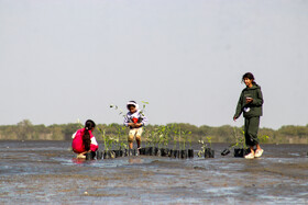 جشنواره فرهنگی– گردشگری «خواجه عطا» - بندرعباس
