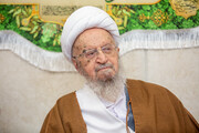 آیت‌الله مکارم شیرازی: مهار گرانی در اولویت دولت قرار گیرد