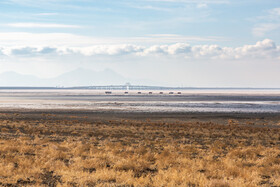 خشک‌شدن دریاچه ارومیه پیامدهای گسترده زیست‌محیطی از جمله افزایش طوفان‌های نمکی و ریزگردها، تغییر اقلیم محلی و کاهش تنوع گونه‌های گیاهی و جانوری را به همراه داشته است.