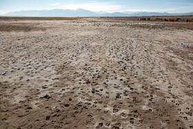 خشک‌شدن دریاچه ارومیه پیامدهای گسترده زیست‌محیطی از جمله افزایش طوفان‌های نمکی و ریزگردها، تغییر اقلیم محلی و کاهش تنوع گونه‌های گیاهی و جانوری را به همراه داشته است.