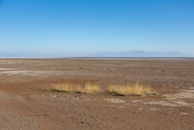 خشکشدن دریاچه ارومیه پیامدهای گسترده زیستمحیطی از جمله افزایش طوفانهای نمکی و ریزگردها، تغییر اقلیم محلی و کاهش تنوع گونههای گیاهی و جانوری را به همراه داشته است.