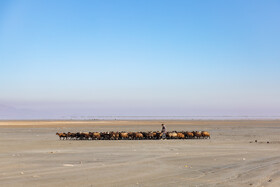 خشک‌شدن دریاچه ارومیه پیامدهای گسترده زیست‌محیطی از جمله افزایش طوفان‌های نمکی و ریزگردها، تغییر اقلیم محلی و کاهش تنوع گونه‌های گیاهی و جانوری را به همراه داشته است.
