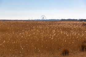 خشکشدن دریاچه ارومیه پیامدهای گسترده زیستمحیطی از جمله افزایش طوفانهای نمکی و ریزگردها، تغییر اقلیم محلی و کاهش تنوع گونههای گیاهی و جانوری را به همراه داشته است.