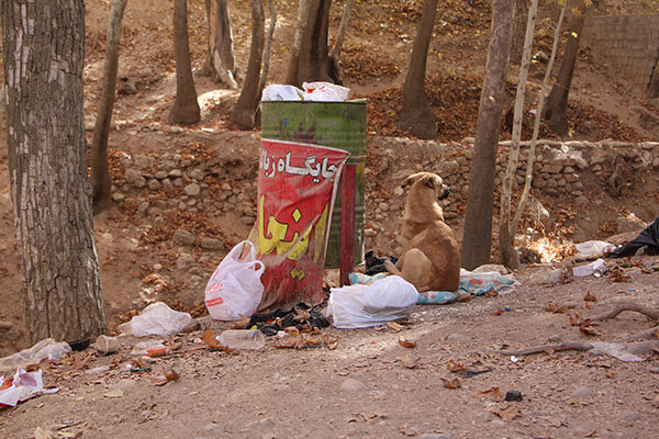 ساختوسازها روستای «قلات» را خفه کرد! + عکس