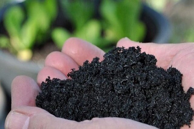 پژوهشی درباره پیوند ضایعات کشاورزی و تغذیه پایدار گیاهان