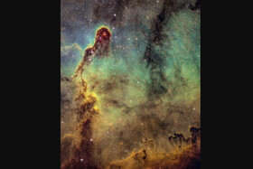 عکسی از خرطوم فیل در آسمان!