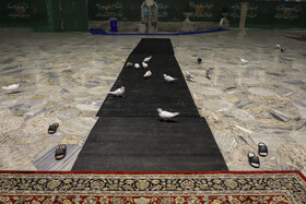 در حاشیه مراسم معنوی اعتکاف - مشهد