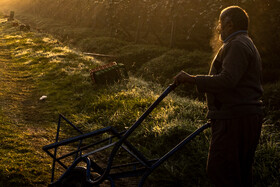 باغ‌های کیوی غرب مازندران؛ کار، معیشت و برداشت محصول